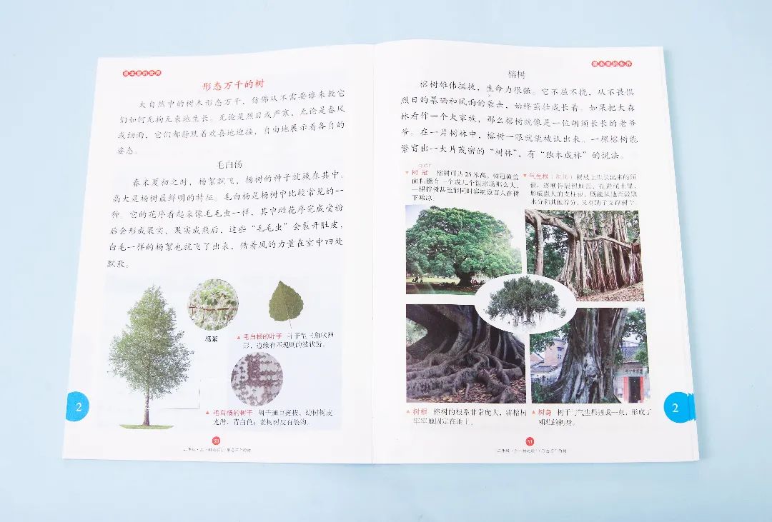 每日学成语app_每天学新知识的成语_成语每日挑战答案大全