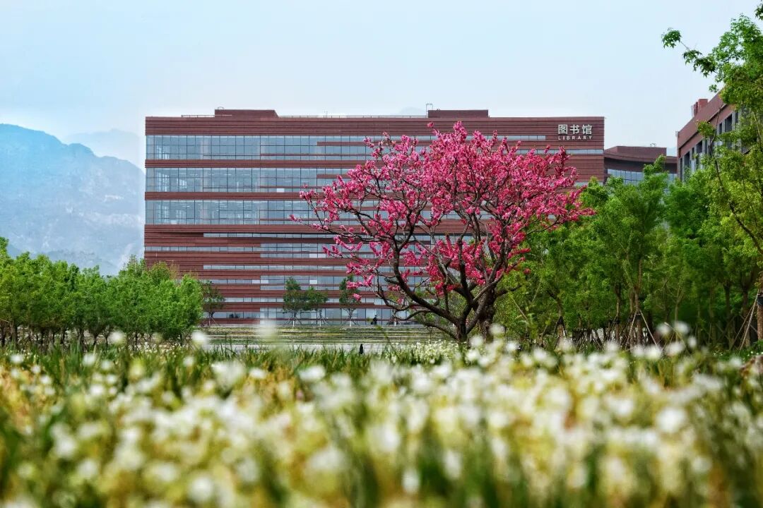 吉林大学管理教务系统_北京化工大学教务管理系统_湖南化工职业技术学院教务系统网站