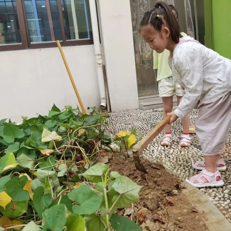 优质晨间锻炼分享经验_晨间锻炼内容指导要点_晨间锻炼活动内容