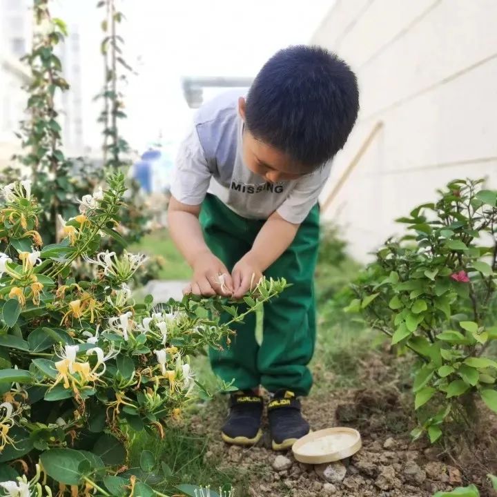 晨间锻炼内容指导要点_晨间锻炼活动内容_优质晨间锻炼分享经验