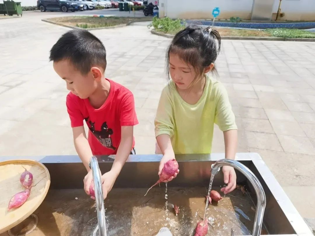 晨间锻炼活动内容_晨间锻炼内容指导要点_优质晨间锻炼分享经验