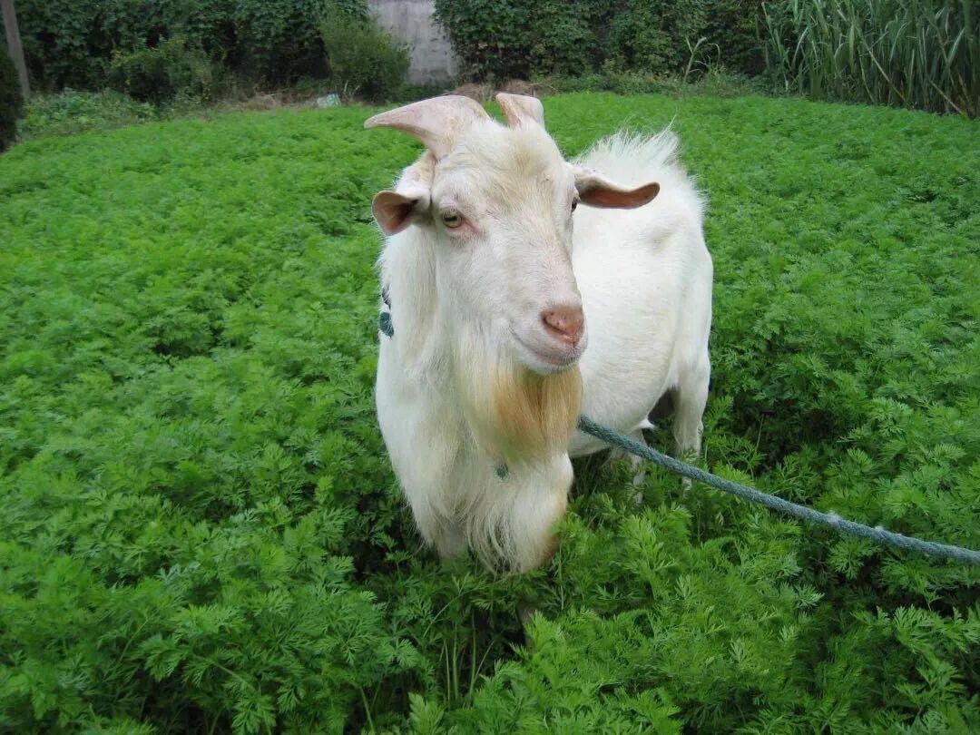 南通市属于哪个省_南通属于江苏省_南通属江苏省吗