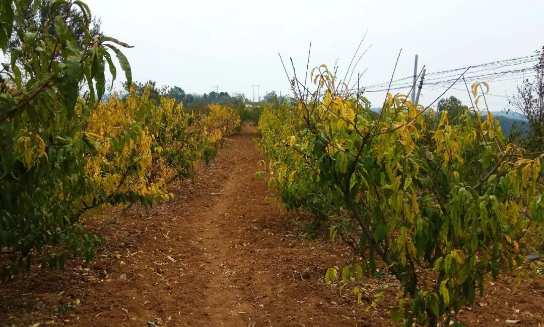 1cm平方等于多少dm平方_60亩等于多少平方米_100米等于多少平方