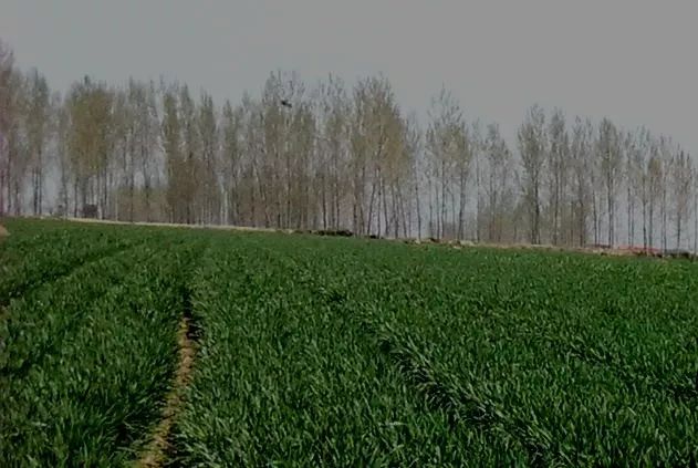 60亩等于多少平方米_100米等于多少平方_1cm平方等于多少dm平方