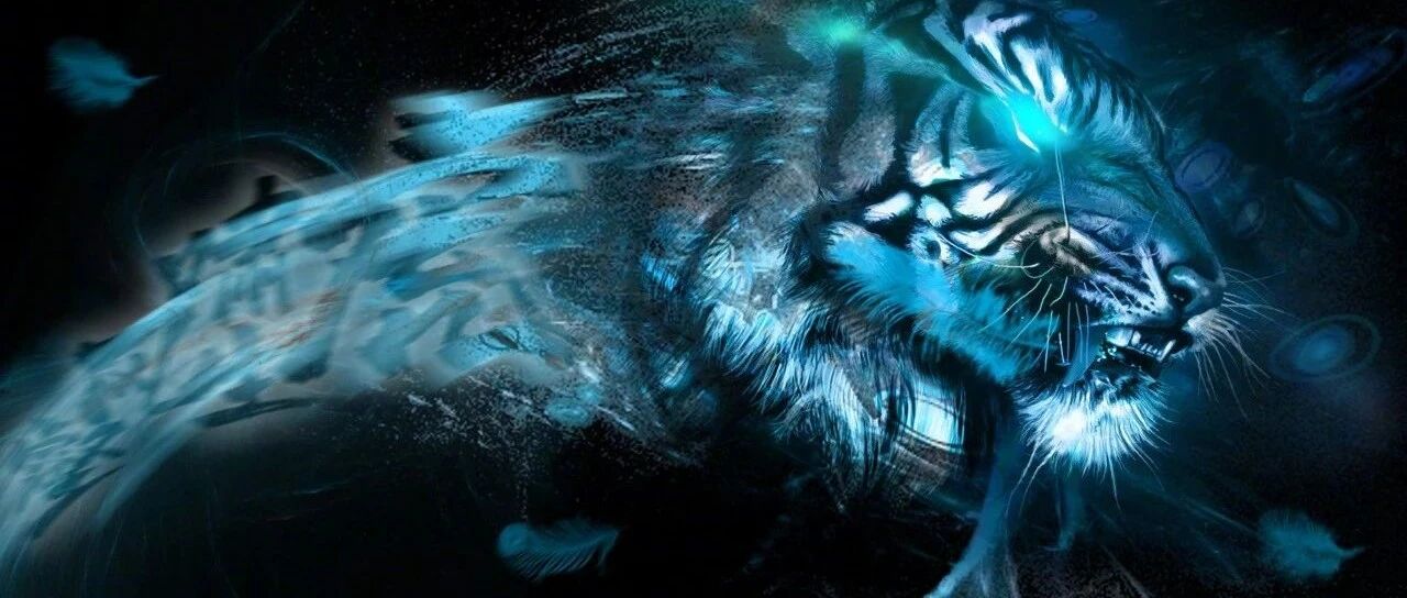 答案即将揭晓 泰达会成为中超历史上最特殊的一个吗？