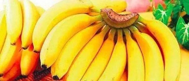 【生词本】健康饮食之香蕉（附俄汉词组）