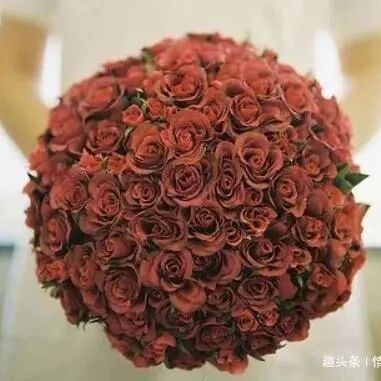 婚姻法规定：女方提出离婚吃亏在哪,新婚姻法告诉你！