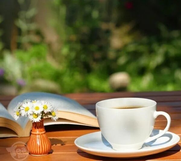 年少无知不识木，懂得红木已昔年