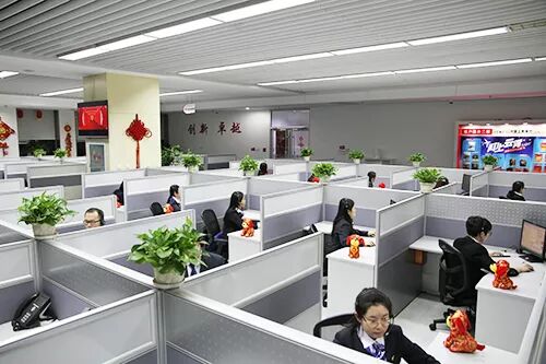 95588客服原来是这样过除夕夜的……