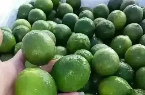 糖尿病人注意了！這個秘方不僅急降血糖，還能降血壓、防心梗 健康 第4張