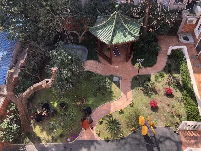  颐家养老院