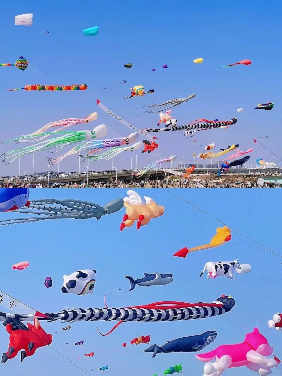 我们在闽南的年的戏看