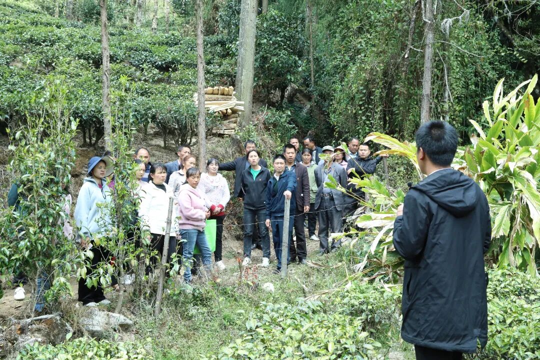 小资本创业项目信息_小厂创业项目的_代理开店项目小创业