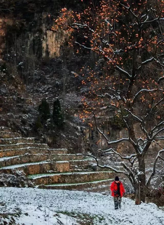 山西，一個隱藏無數傳奇的地方 旅行 第35張