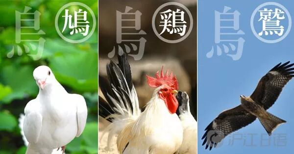 靈魂拷問 你知道日語裏究竟有多少漢字嗎 滬江日語 微文庫