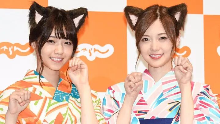 企鹅系 考拉系 熊系 日本现在流行这13种 系女子 自由微信 Freewechat