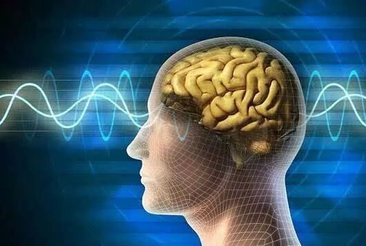 α波的状态，你的头脑的最佳状态