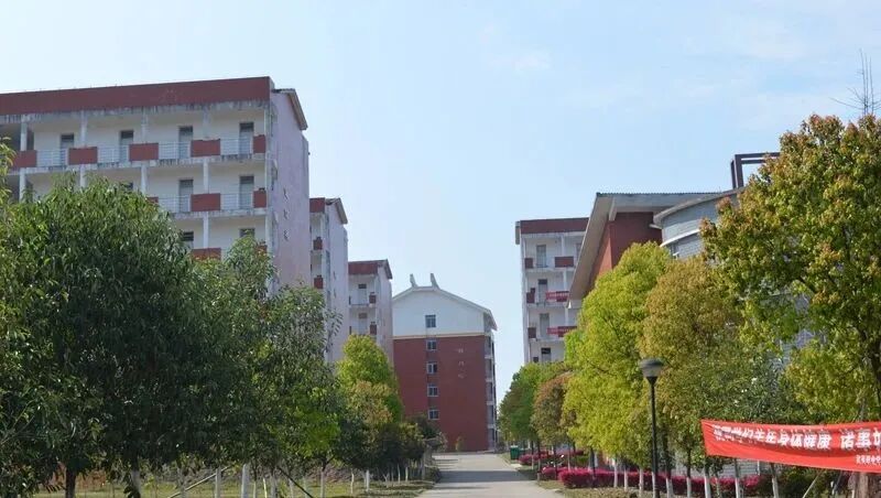 武夷學(xué)院2020年錄取分?jǐn)?shù)_武夷學(xué)院往年分?jǐn)?shù)線_2024年武夷山職業(yè)學(xué)院錄取分?jǐn)?shù)線及要求