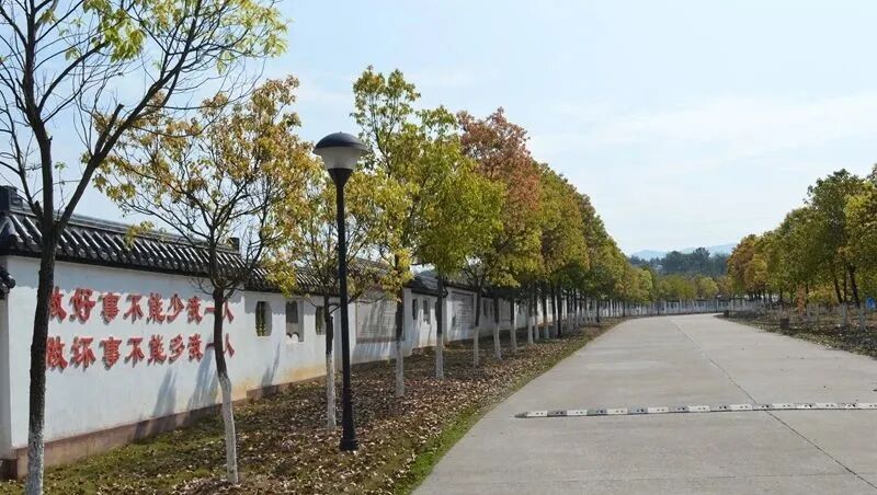 武夷學(xué)院2020年錄取分?jǐn)?shù)_武夷學(xué)院往年分?jǐn)?shù)線_2024年武夷山職業(yè)學(xué)院錄取分?jǐn)?shù)線及要求