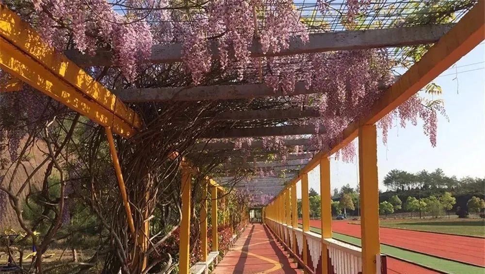 2024年武夷山職業(yè)學(xué)院錄取分?jǐn)?shù)線及要求_武夷學(xué)院2020年錄取分?jǐn)?shù)_武夷學(xué)院往年分?jǐn)?shù)線