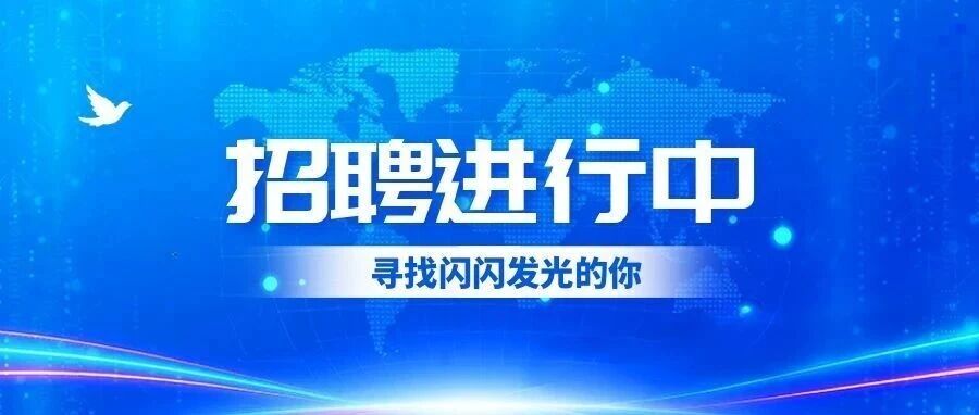 近期招聘岗位：项目调研岗