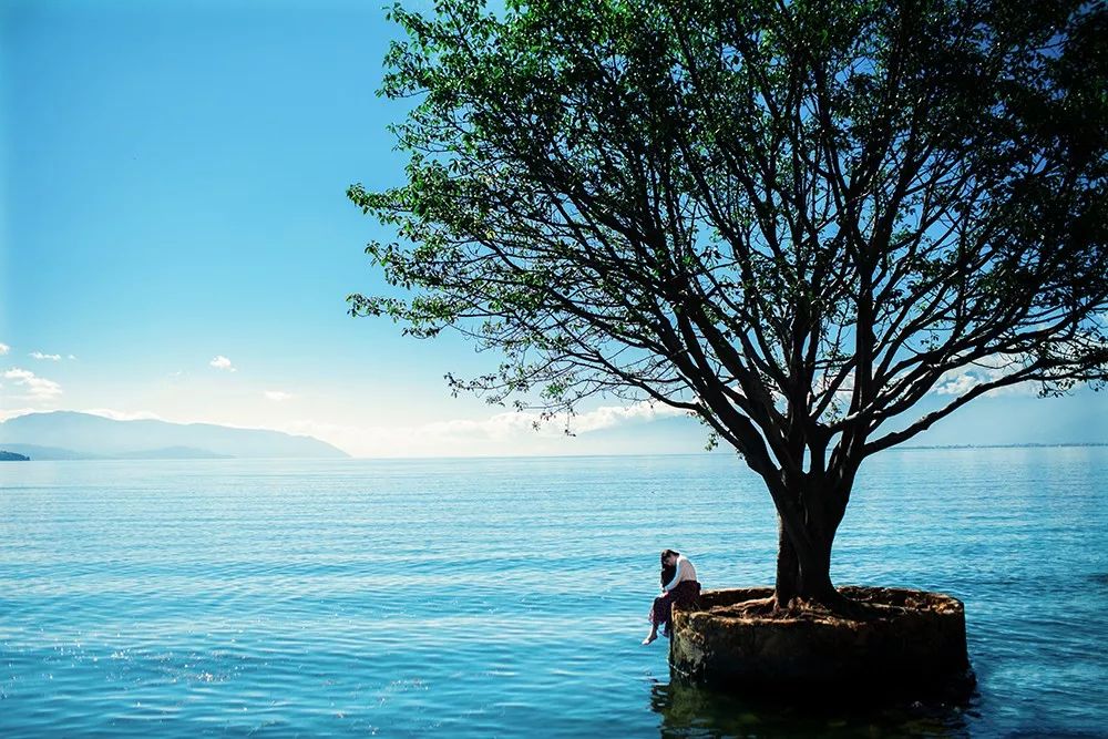 夜听：原来这就叫“圈子定律”