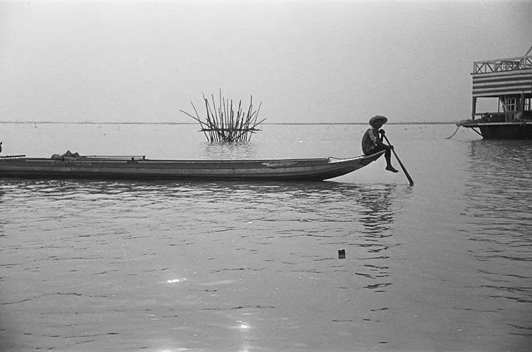 早听：惊人的三大成功定律：荷花定律，竹子定律，金蝉定律（建议