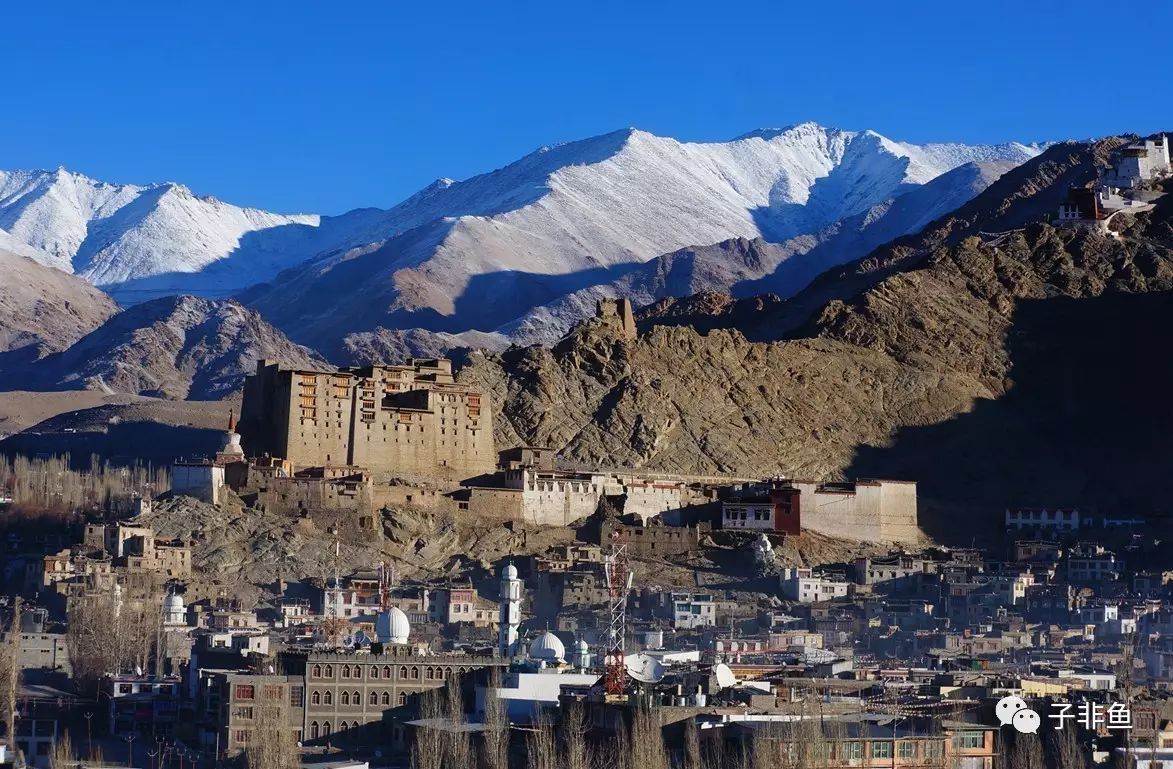 【江苏地毯价格联盟】冰之镜—穿越拉达克赞斯卡冰河(2017年春节活动,