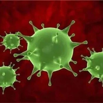 罗大伦 | 中医最大的秘密：藐视敌人，强大自己