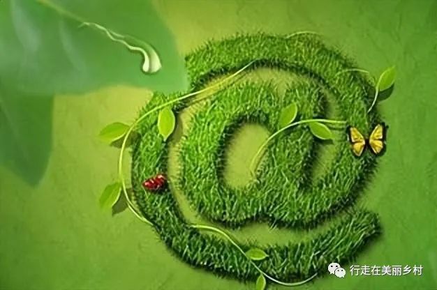 互联网助农创业项目书 “互联网+”对农民创业机会有帮助吗