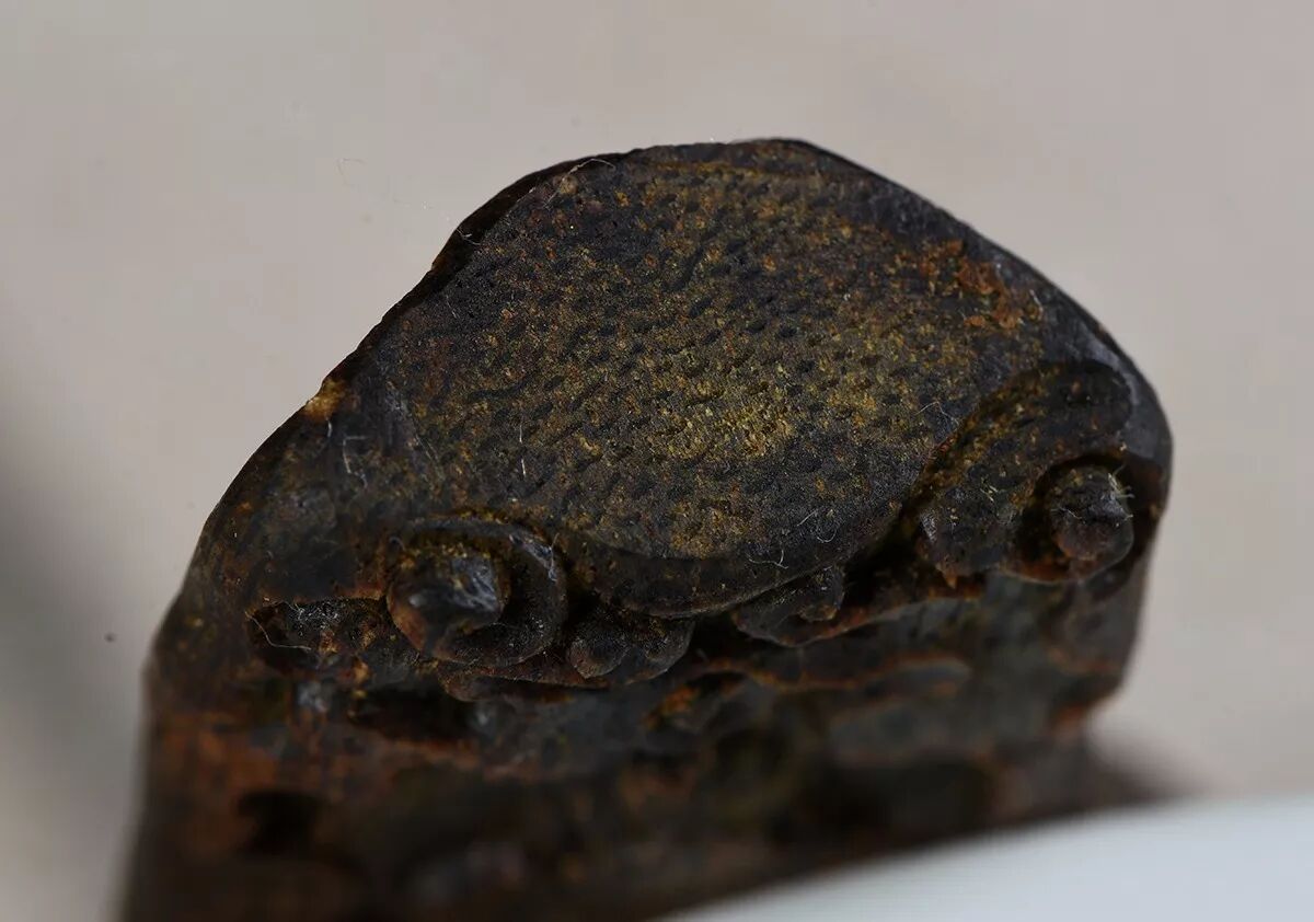 奇楠嫁接究竟靠不靠谱？其实就看这三点！