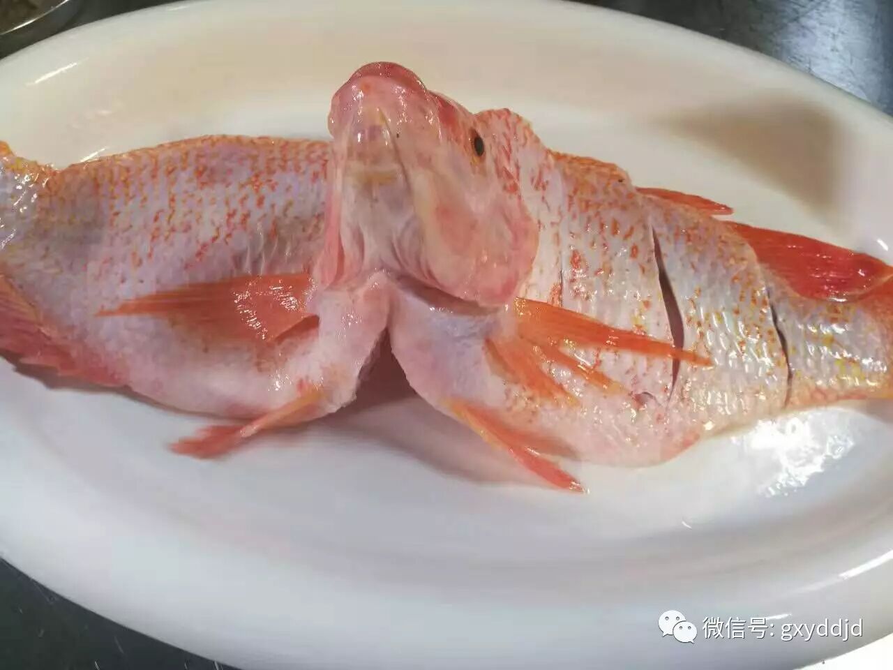 苏州金陵雅都大酒店有限公司-苏州雅都大酒店-官方网站_【雅都美食】