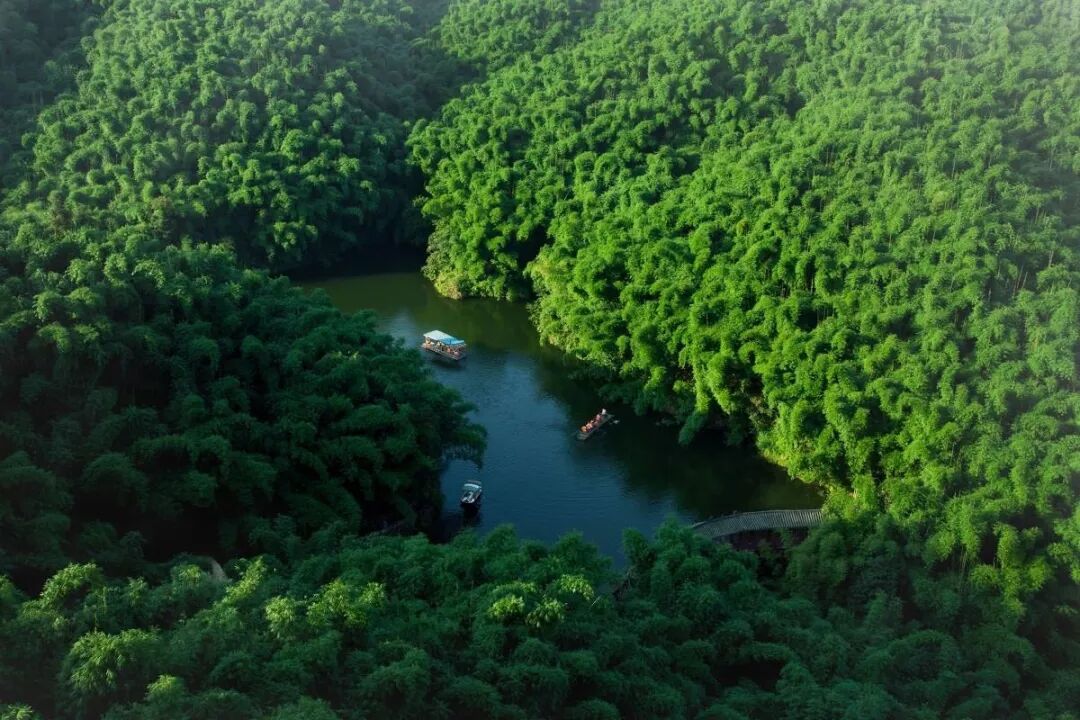 五一假期余额不多了!乐山周边游攻略来啦!最短1天也能打来回!-图8