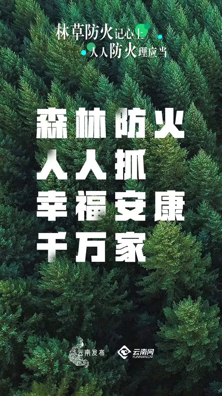 56693041bf4a98566a258407839514a6.jpg