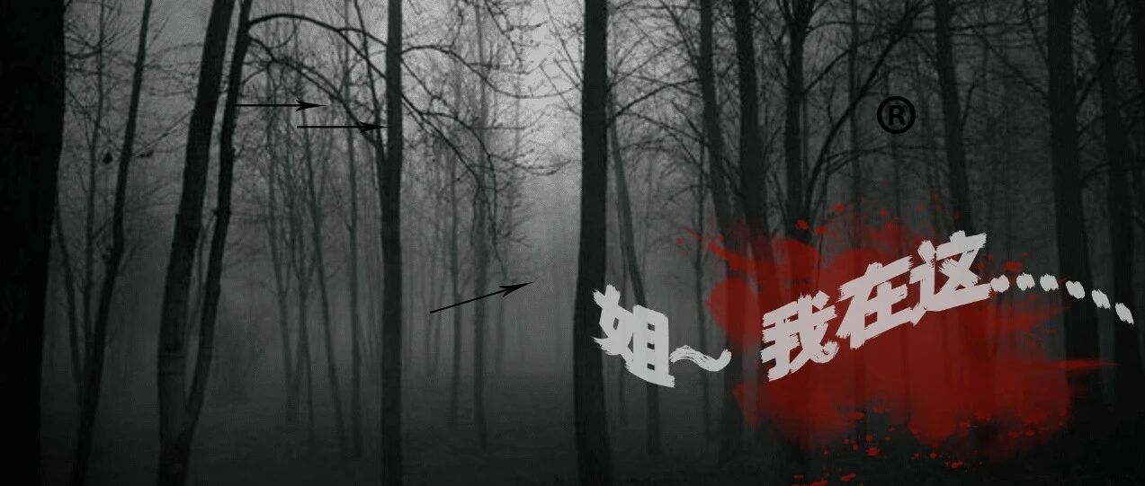 【拍案惊堂木】托梦寻尸？被杀的弟弟说：姐，我在这儿！