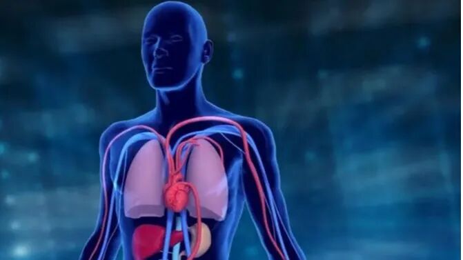 明胶在血管怎么降解泰尔茂人工血管——人工血管基础知识_https://www.jmylbn.com_新闻资讯_第1张