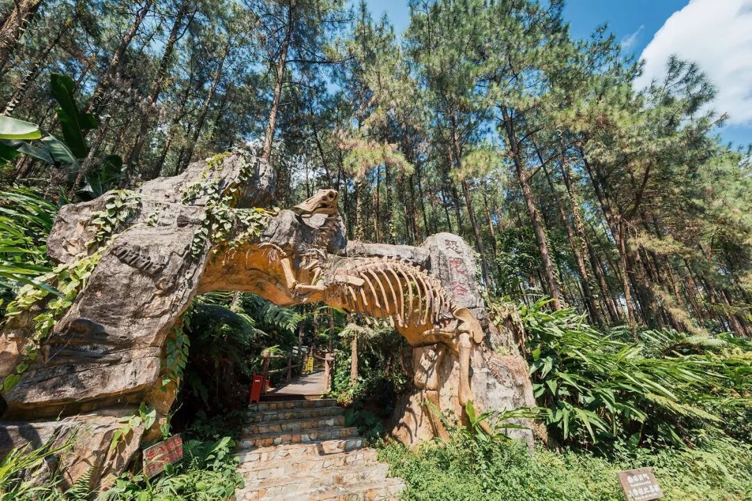 森波拉赏秋12月1日首届珍稀水杉暨恐龙冒险观赏节