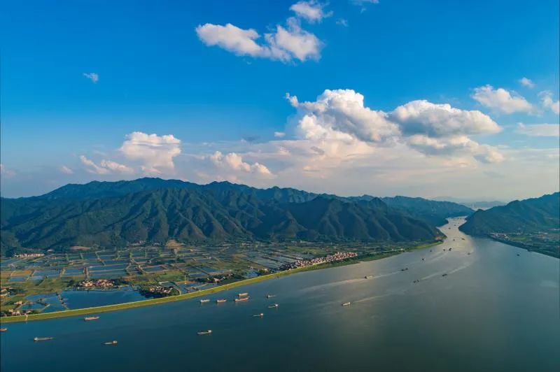 圖源:鼎湖發佈今年以來,肇慶市鼎湖區舉全區之力助力沙浦鎮創建國家