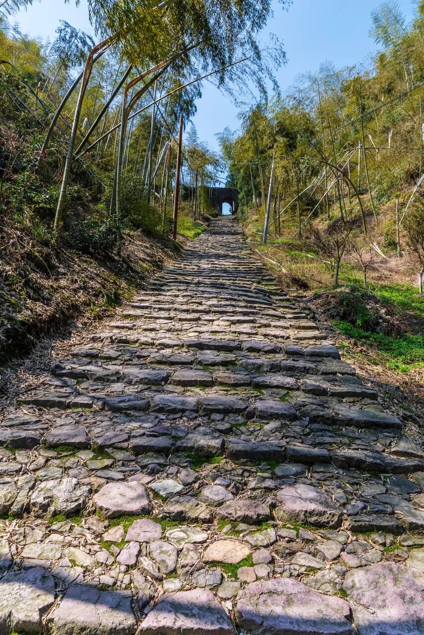 08图虫:老探664推荐景点江郎山风景区,廿八都古镇,浮盖山,仙霞关