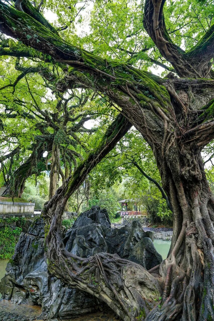 国内这12个初夏绝美小众地,倦了,累了,就去这些地方小住三五天