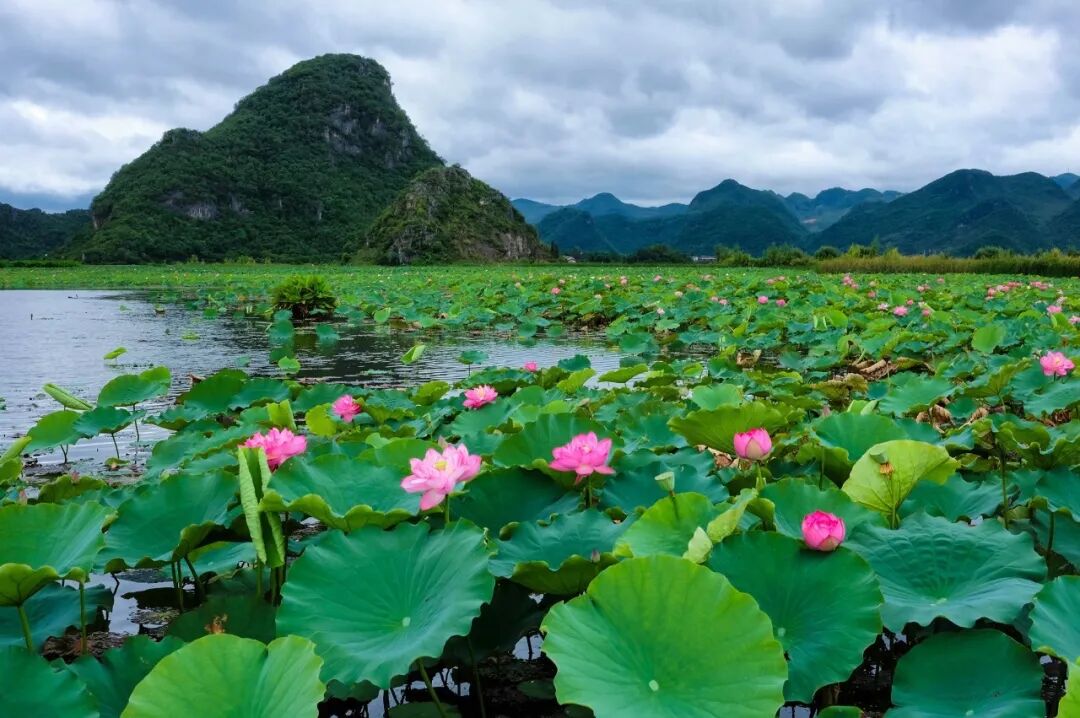 国内这12个初夏绝美小众地,倦了,累了,就去这些地方小住三五天