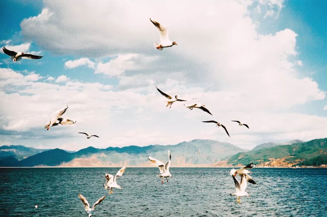 《周易》六卦，教我们如何走好人生路