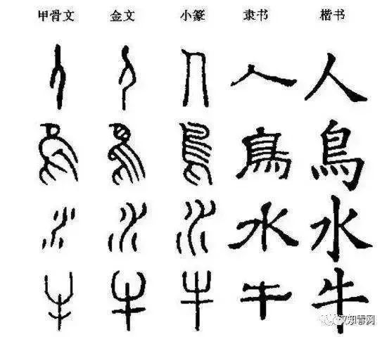 四川地震庐山地震有人员伤亡吗_四川庐山地震了吗_四川庐山地震