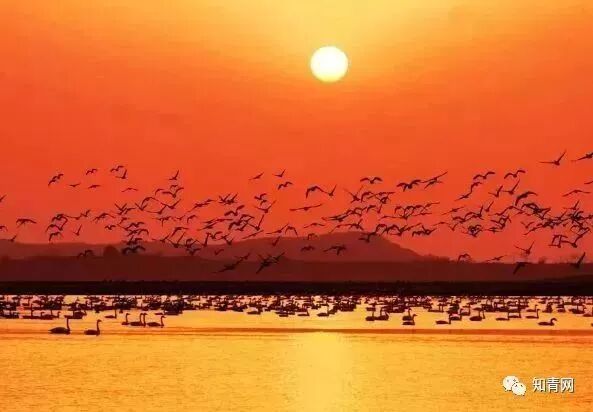 四川庐山地震_四川庐山地震了吗_四川地震庐山地震有人员伤亡吗