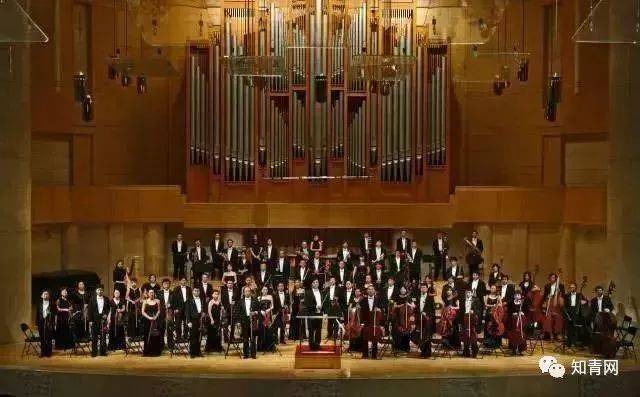 四川庐山地震_四川地震庐山地震有人员伤亡吗_四川庐山地震了吗