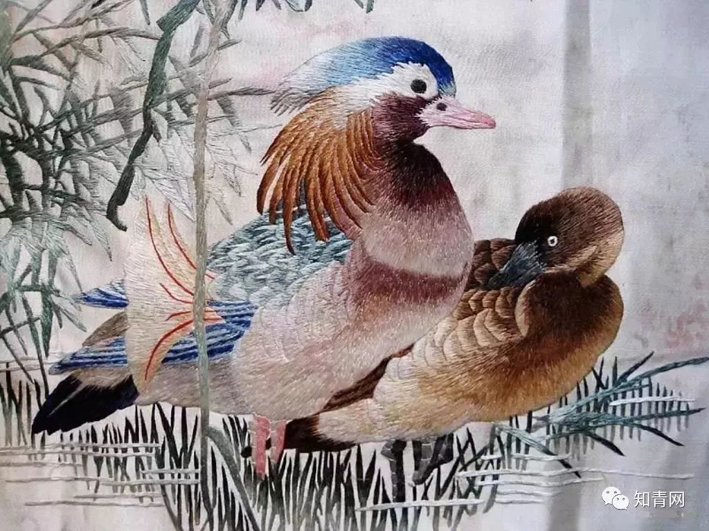 四川庐山地震了吗_四川庐山地震_四川地震庐山地震有人员伤亡吗