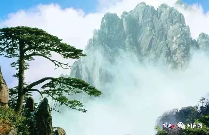 四川庐山地震了吗_四川庐山地震_四川地震庐山地震有人员伤亡吗