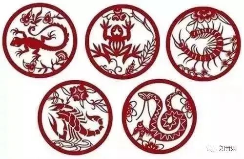 四川庐山地震_四川庐山地震了吗_四川地震庐山地震有人员伤亡吗