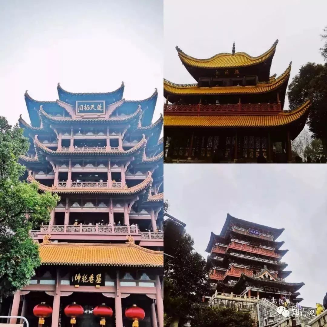 四川庐山地震了吗_四川庐山地震_四川地震庐山地震有人员伤亡吗