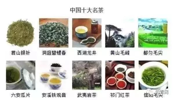 四川地震庐山地震有人员伤亡吗_四川庐山地震了吗_四川庐山地震